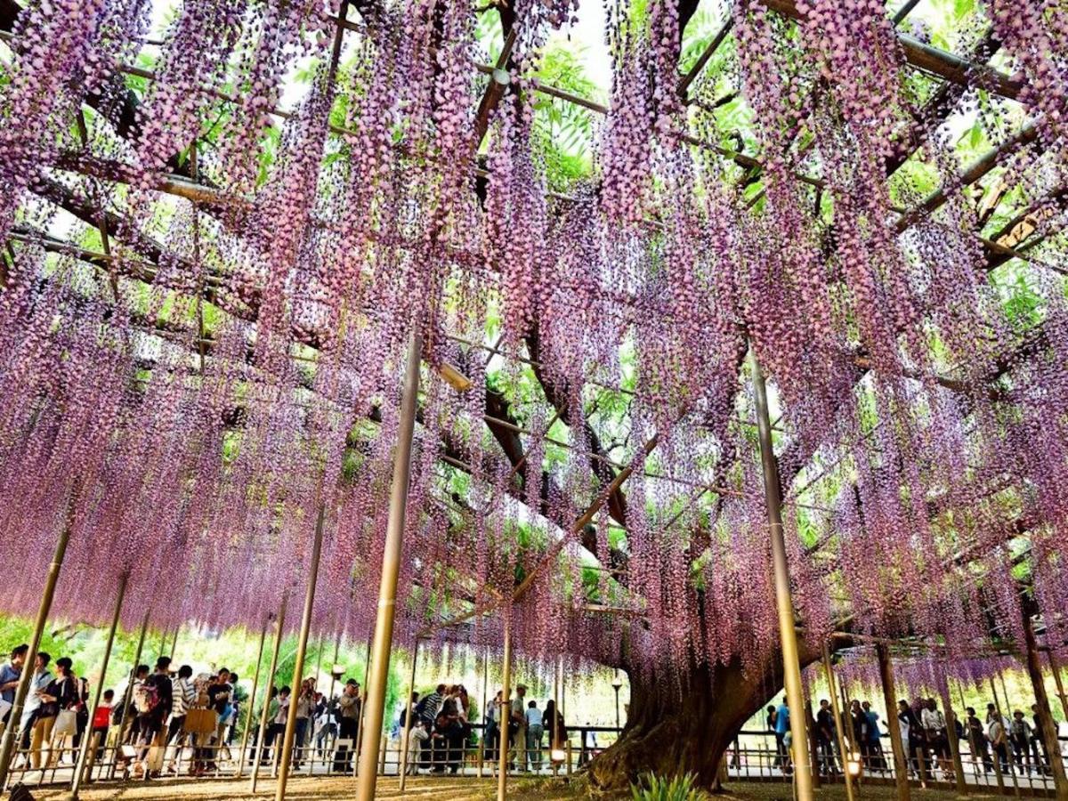 Nasushiobara Ichimantei Hotel Luaran gambar