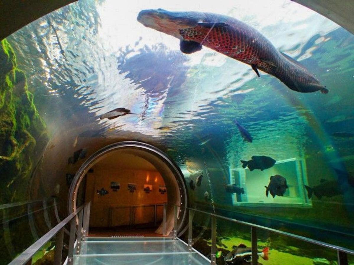 Nasushiobara Ichimantei Hotel Luaran gambar